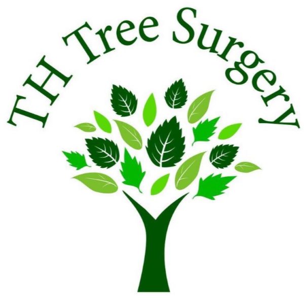 TH Tree Surgery